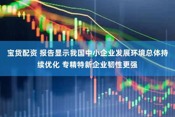 宝货配资 报告显示我国中小企业发展环境总体持续优化 专精特新企业韧性更强