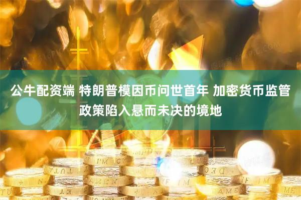 公牛配资端 特朗普模因币问世首年 加密货币监管政策陷入悬而未决的境地