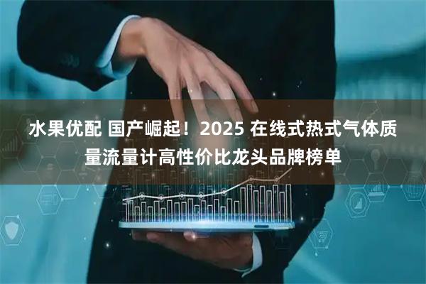 水果优配 国产崛起!2025 在线式热式气体质量流量计高性价比龙头品牌榜单