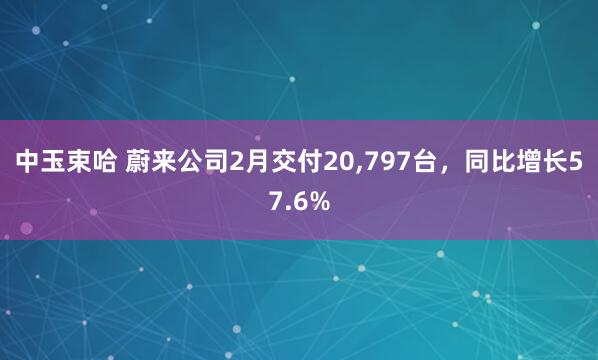 中玉束哈 蔚来公司2月交付20,797台，同比增长57.6%